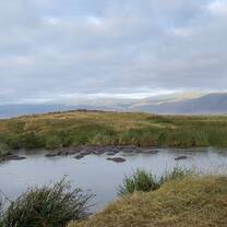 A hippo pond in the Ngorongoro crater. 