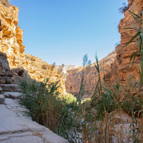 Wadi Qelt