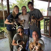 On our first day of doing community service in Fiji, we went to an animal shelter in Nadi. At that animal shelter, we helped build a kennel, walked dogs, and did much more