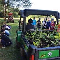 Rainforest Tree Planting