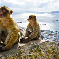 Started out as a rainy hike but ended up being beautiful 