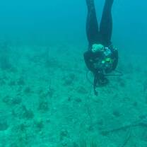 50ft. underwater and upside down!