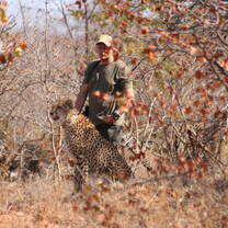 Cheetah Rehabilitation and Monitoring Walks