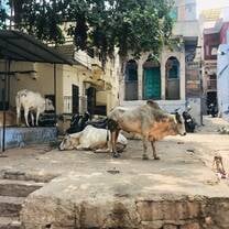Women and Girls' Empowerment in Rajasthan, India