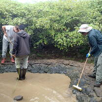 cleaning ponds for the Tortoises- they have such funny characters!