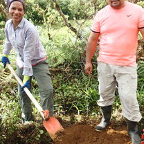 digging holes to plant trees in San Cristabol