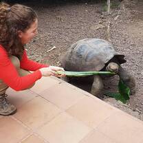 feeding the tortoises in the sanctuary