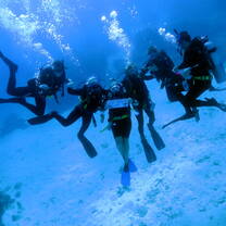 Crew Scuba Diving the Great Barrier Reef