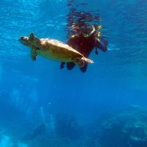 A picture a diver took of me swimming with a turtle. Truly unforgettable.