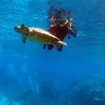 A picture a diver took of me swimming with a turtle. Truly unforgettable.