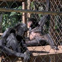 Lazing around is optional 