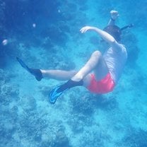 Snorkeling of 'Booby' Island - Camera managed to get me and not the turtle!