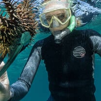 One of our key projects has been to conduct Crown of Thorns removal to prevent further damage to the reef.