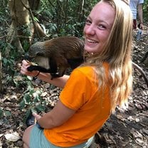 Hanging out with the wild monkeys at Tafi Atome in the Volta Region!