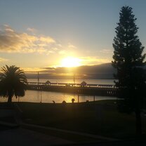 Geelong