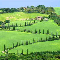 Siena's countryside