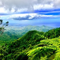 One of the many hikes