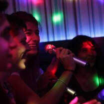 Karaoke- Adventure Japan