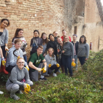 Keeping the city walls in order