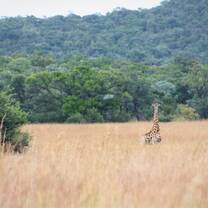 Learn about animal behaviour 