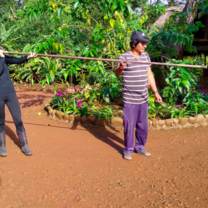 South America Explorer