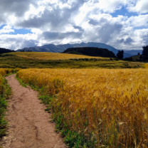 South America Explorer