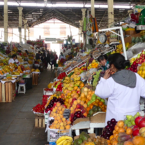 South America Explorer