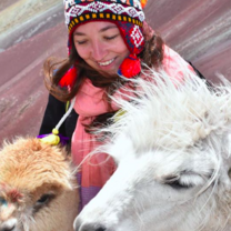 South America Explorer