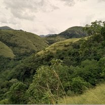 The mountain-top grasslands of the Volta Region