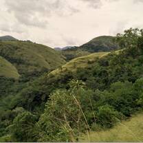 The mountain-top grasslands of the Volta Region