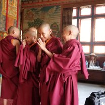 young monks