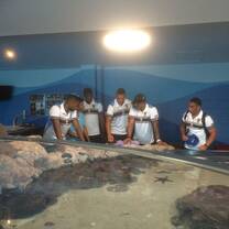 EduTourism Programs in Australia