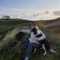 Some awesome Irish dogs!