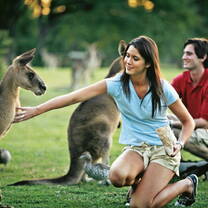 Brisbane life