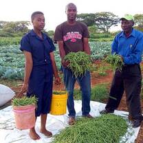 Agricultural production & vocational training center