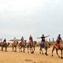 Camel Riding in the desert 
