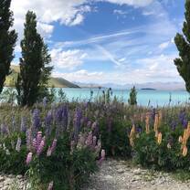 Lake Tekapo, New Zealand