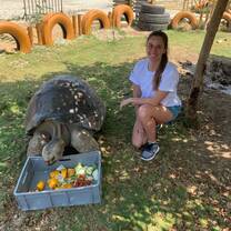 Taking care of exotic animals