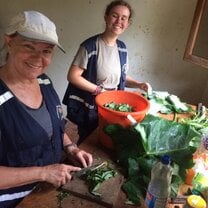 Preparing “salad” of different sizes for different age tortoises 