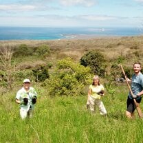 Planting indigenous plants