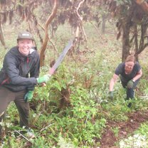 Clearing overgrowth of invasive non-indigenous plants
