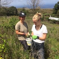 Planting indigenous plants