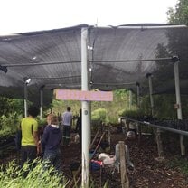 Greenhouse work day for indigenous plantings