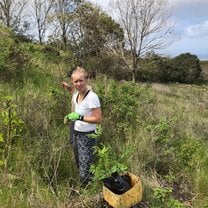 Planting native plants