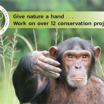 Get onboard with over 12 exciting conservation projects