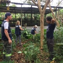 Harvesting food for the Giant Tortoises 