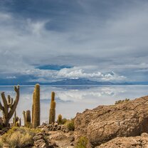 World Unite! Volunteering in Bolivia