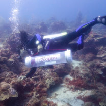 Lionfish Hunt specialty training