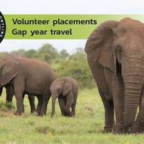 Volunteer and gap year placements