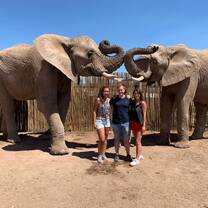 Experiencing South Africa